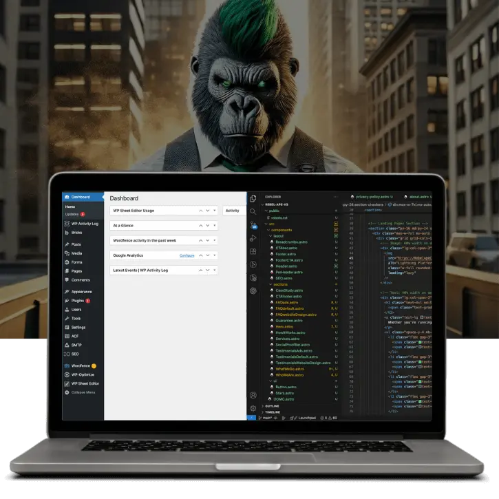 Website Design Options